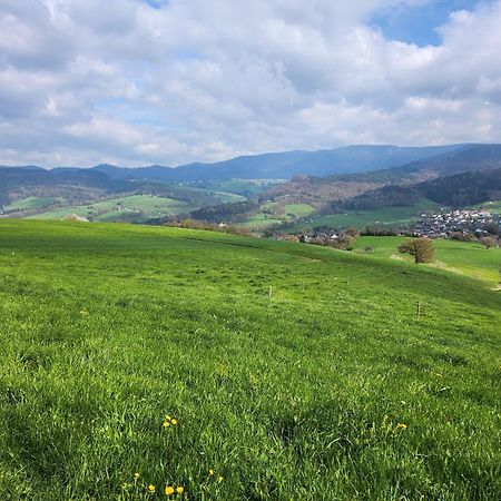 Ferienwohnung Herzlicht Titisee-Neustadt Zewnętrze zdjęcie