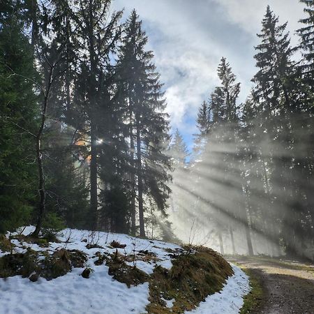 Ferienwohnung Herzlicht Titisee-Neustadt Zewnętrze zdjęcie