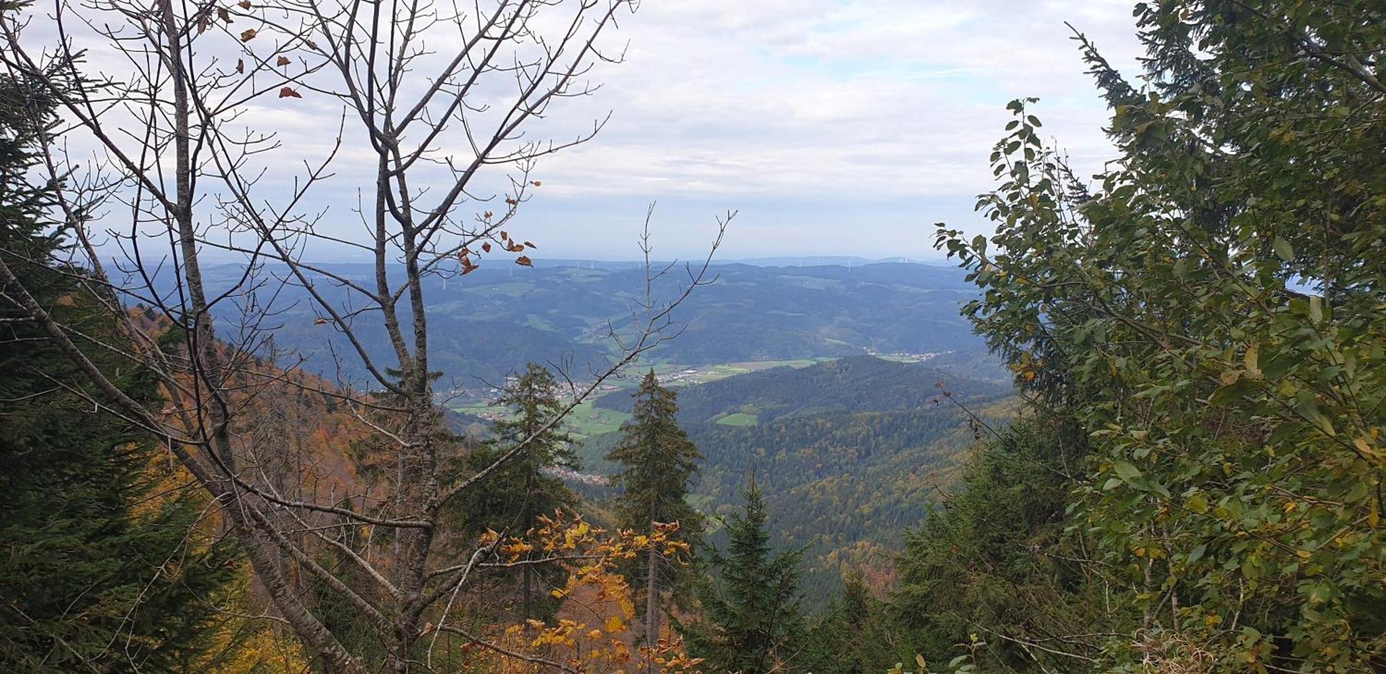 Ferienwohnung Herzlicht Titisee-Neustadt Zewnętrze zdjęcie