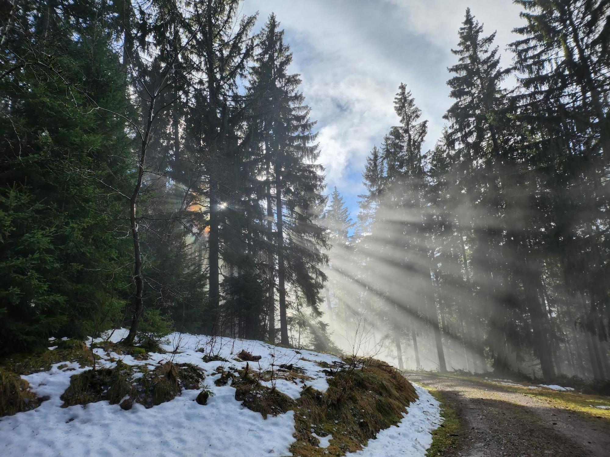 Ferienwohnung Herzlicht Titisee-Neustadt Zewnętrze zdjęcie